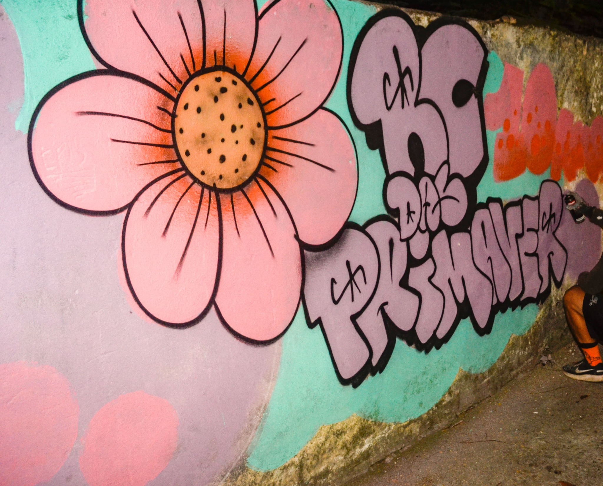 Artista pintando um mural da Roda Cultural das Primaveras